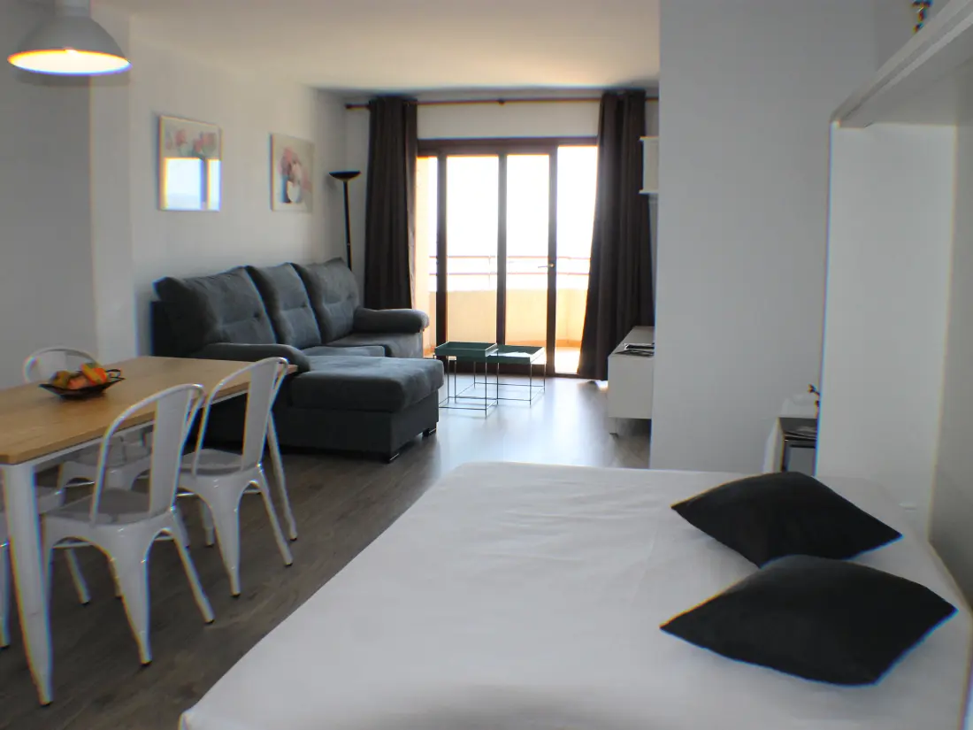 Location de Vacances Roses 839