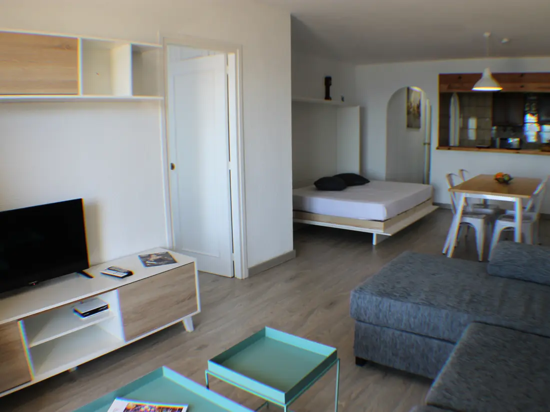 Location de Vacances Roses 839