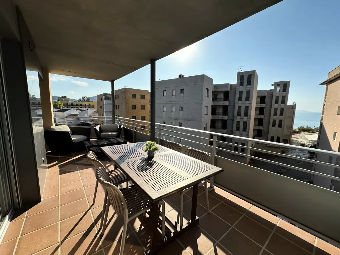 Location de Vacances Roses 844