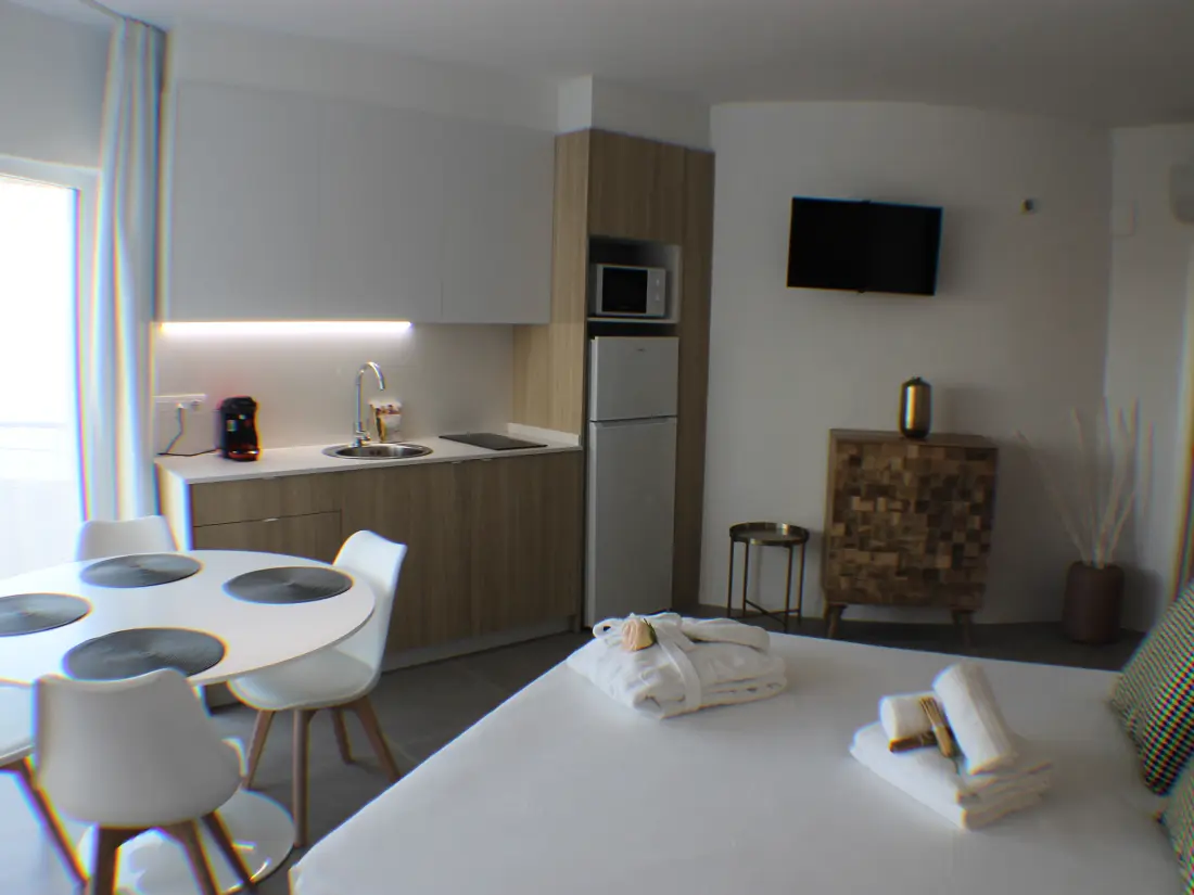 Location de Vacances Roses 849