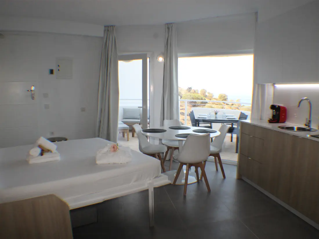 Location de Vacances Roses 849