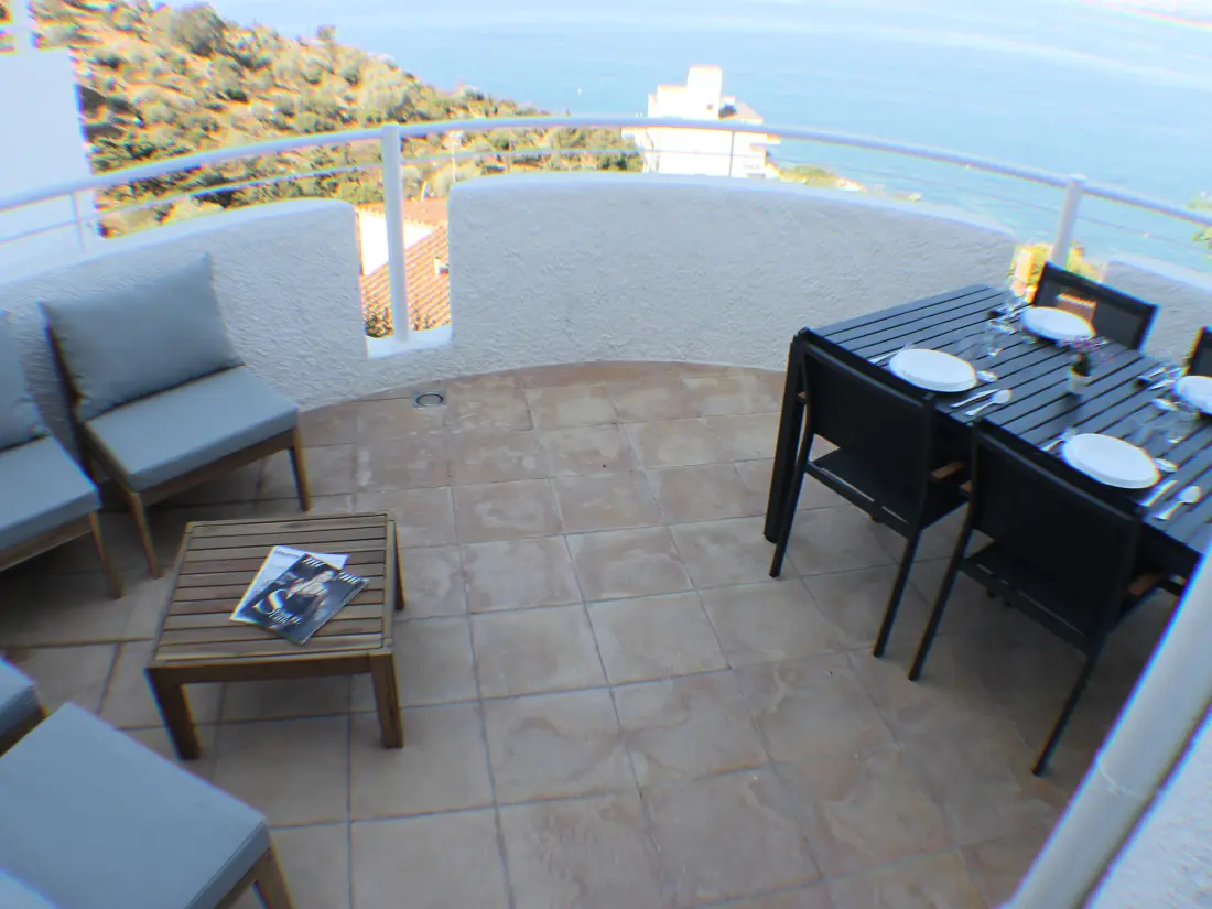 Location de Vacances Roses 849