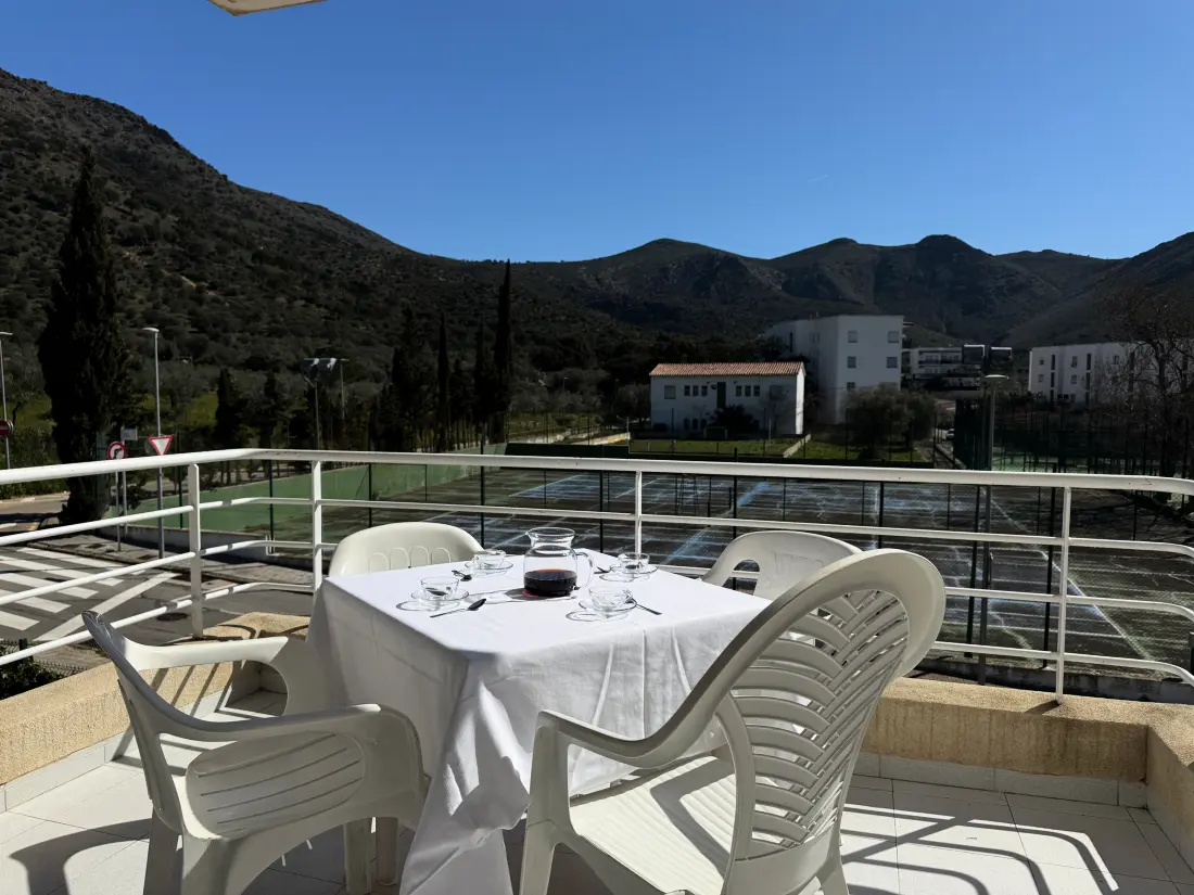Location de Vacances Roses 851