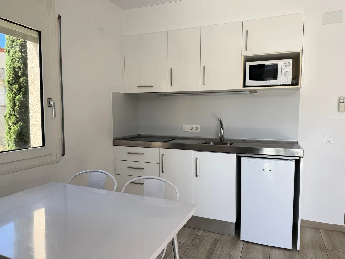 Location de Vacances Roses 853