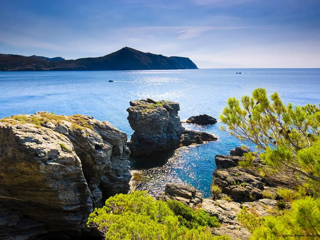 Location de Vacances Roses 864