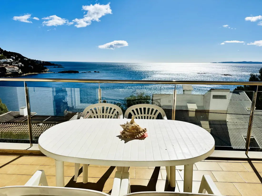 Location de Vacances Roses 864