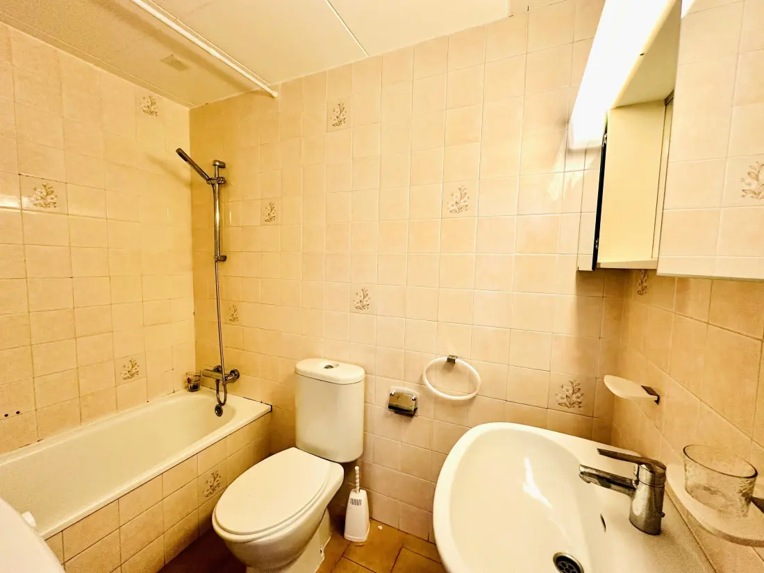 Location de Vacances Roses 864