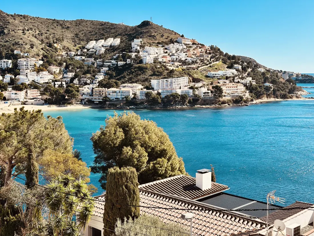 Location de Vacances Roses 864