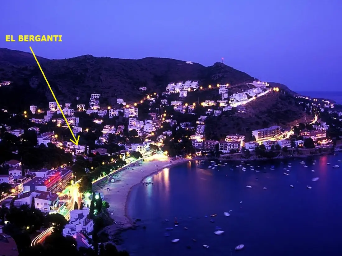 Location de Vacances Roses 866