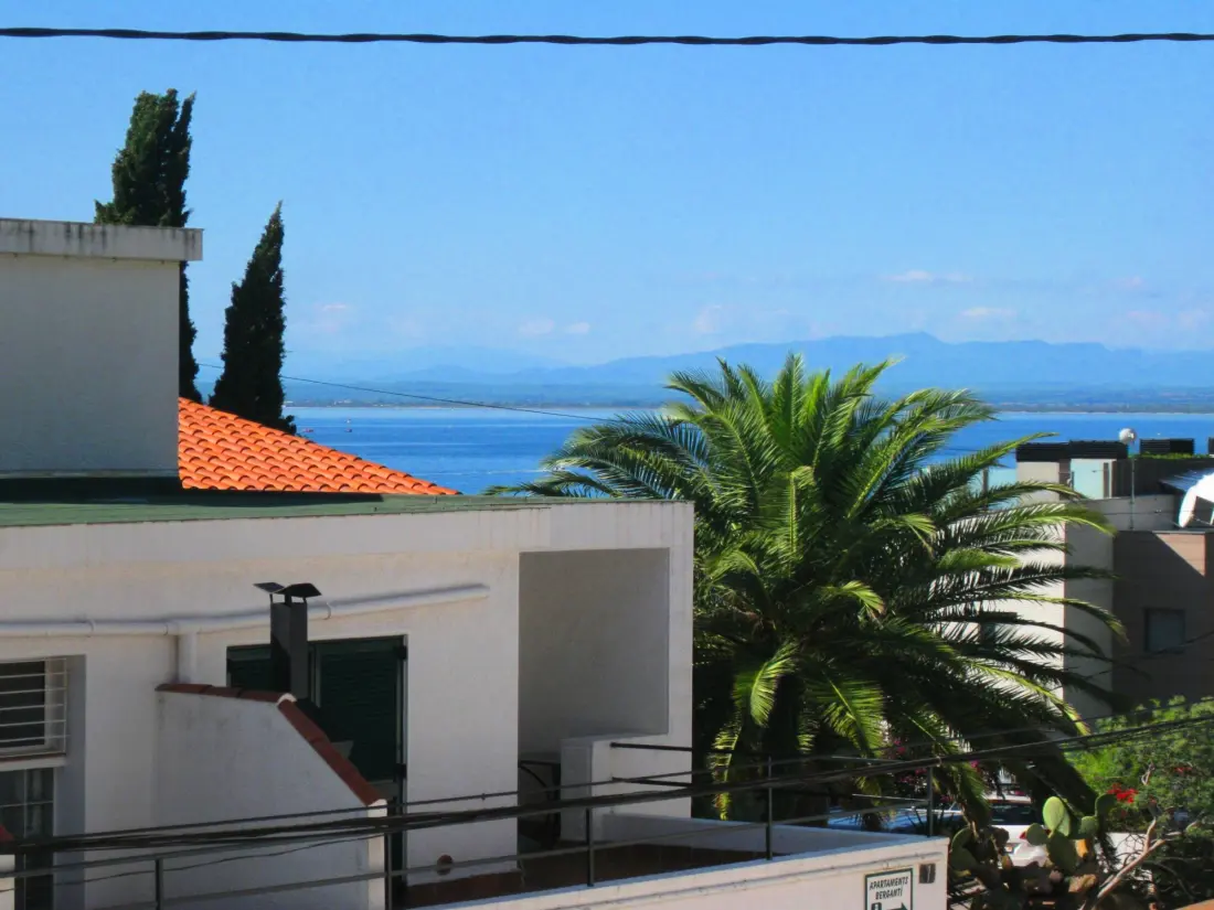 Location de Vacances Roses 866