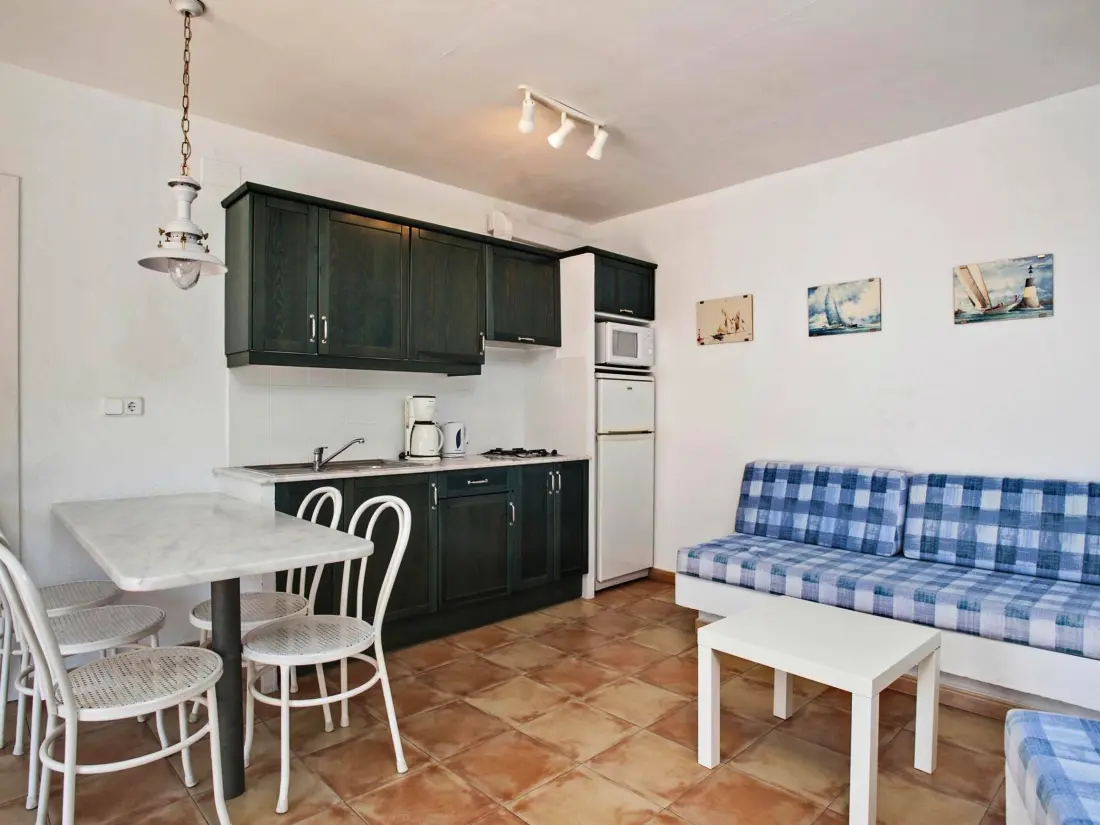 Location de Vacances Roses 867