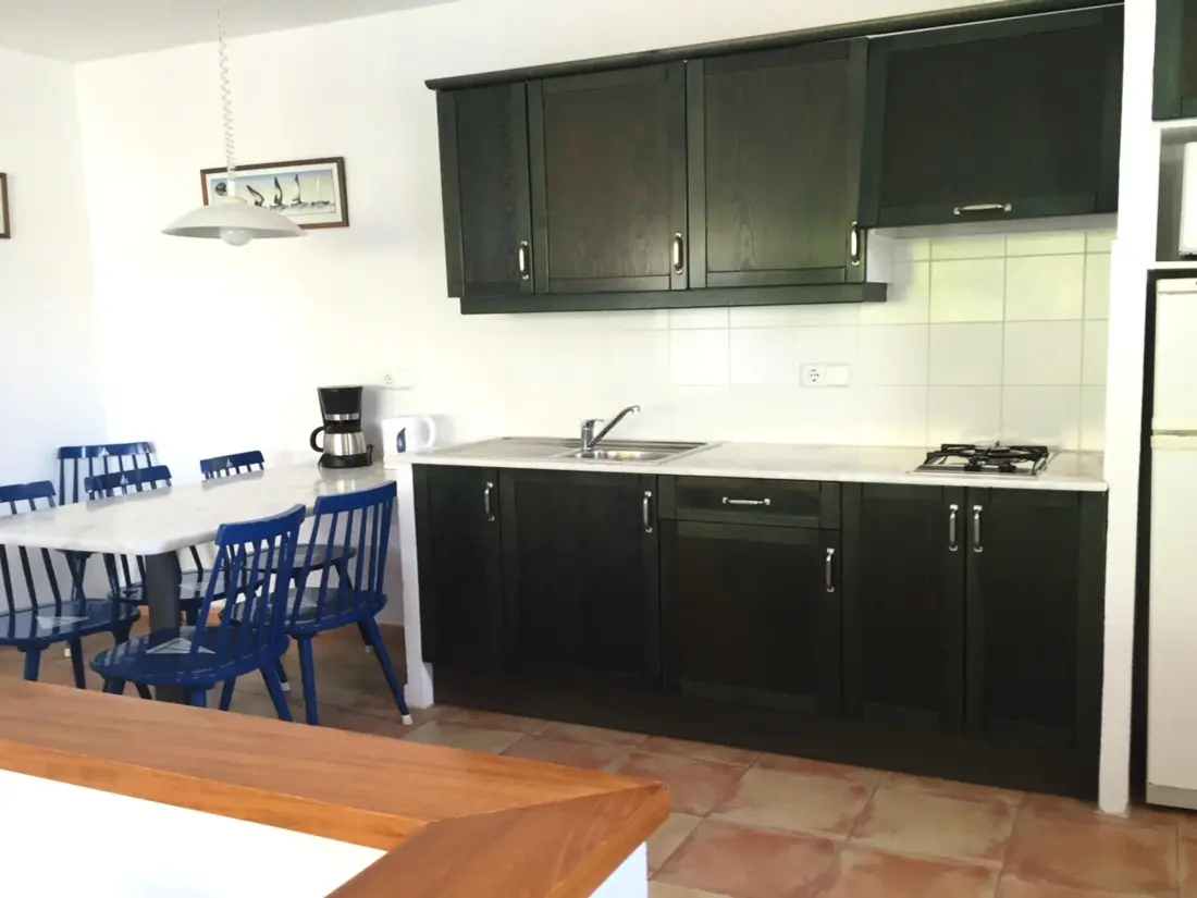 Location de Vacances Roses 868