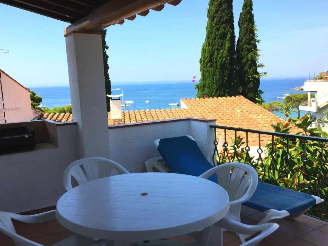 Location de Vacances Roses 868