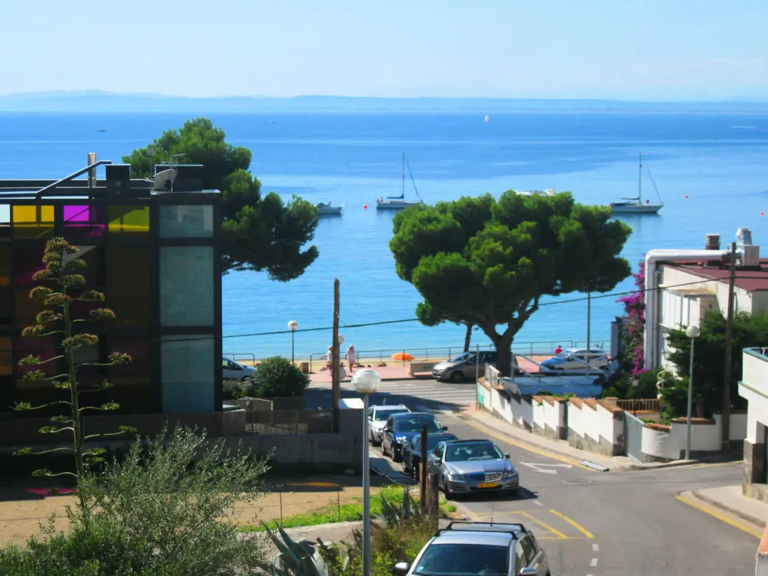 Location de Vacances Roses 869
