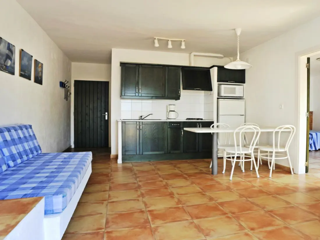 Location de Vacances Roses 869