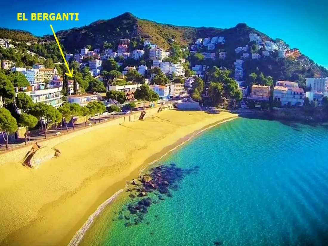 Location de Vacances Roses 870