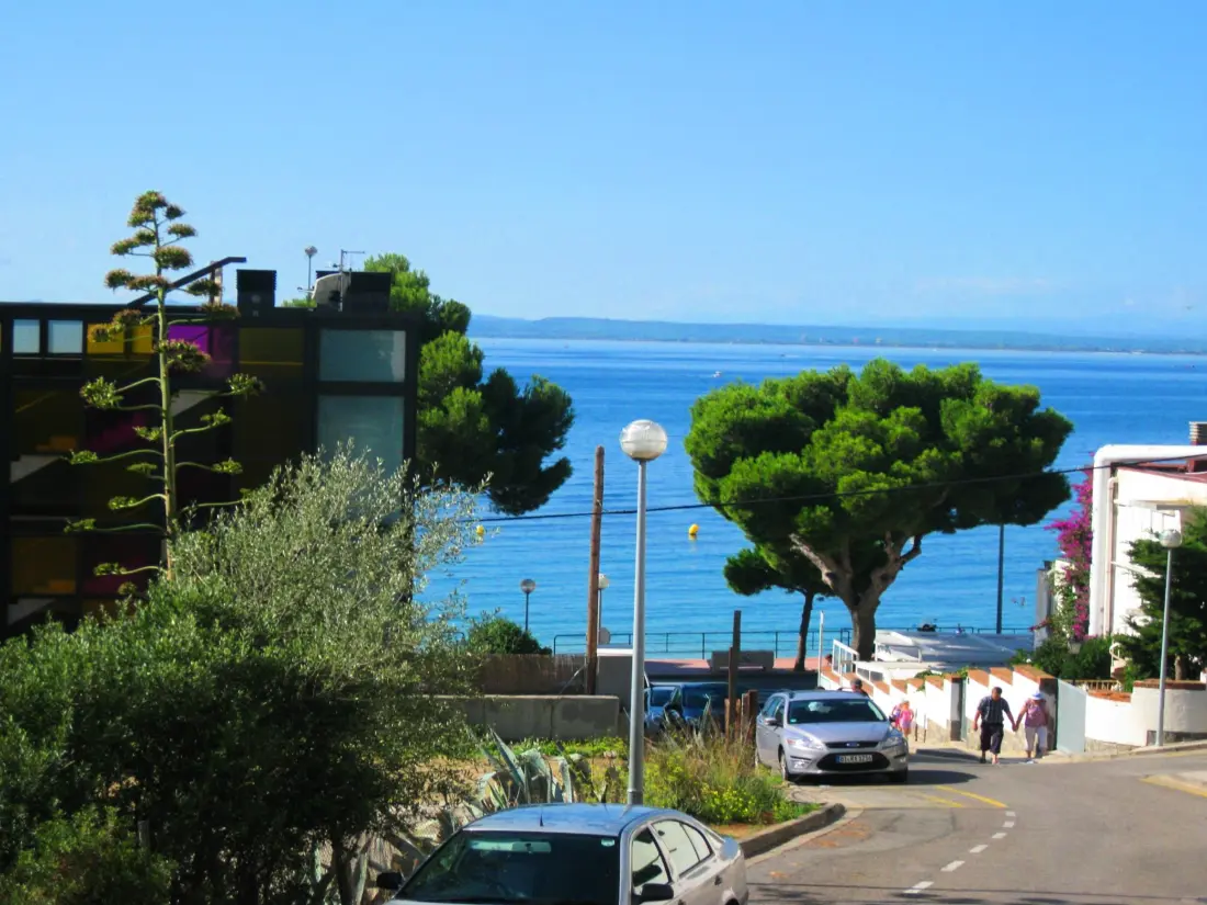 Location de Vacances Roses 870