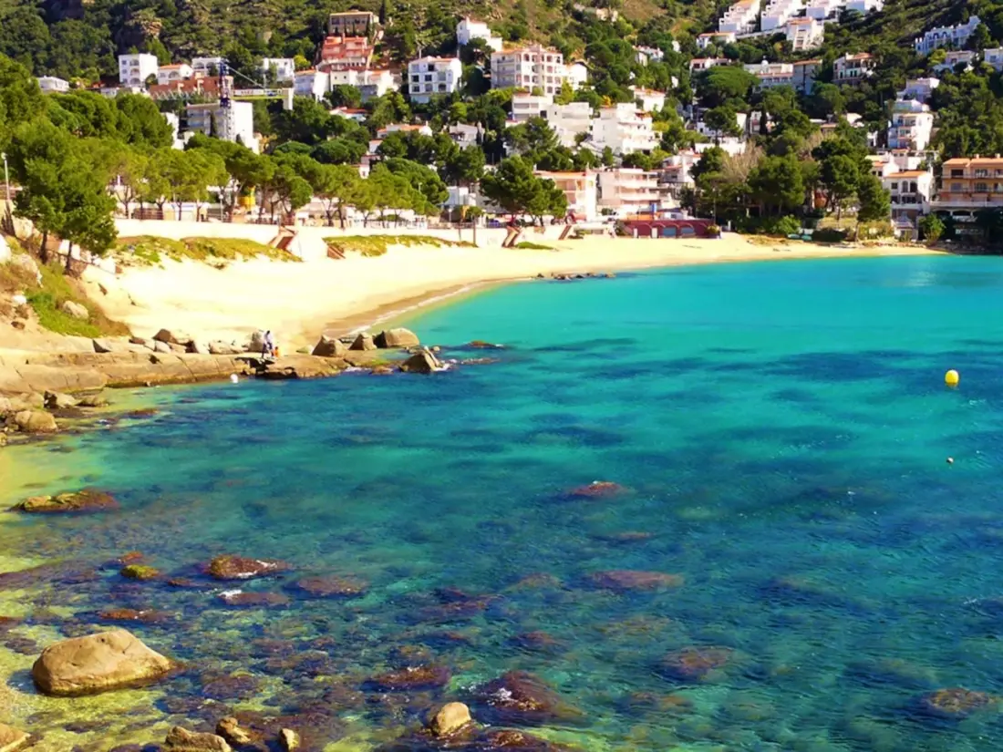 Location de Vacances Roses 870