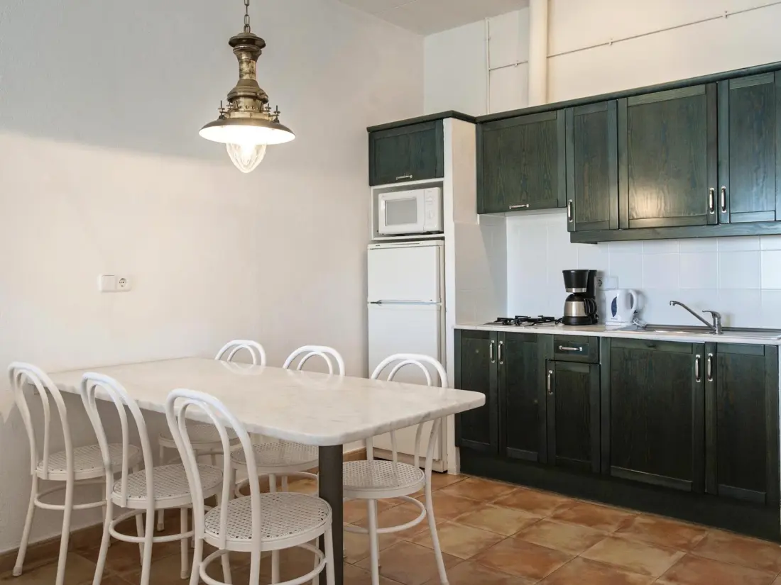 Location de Vacances Roses 870