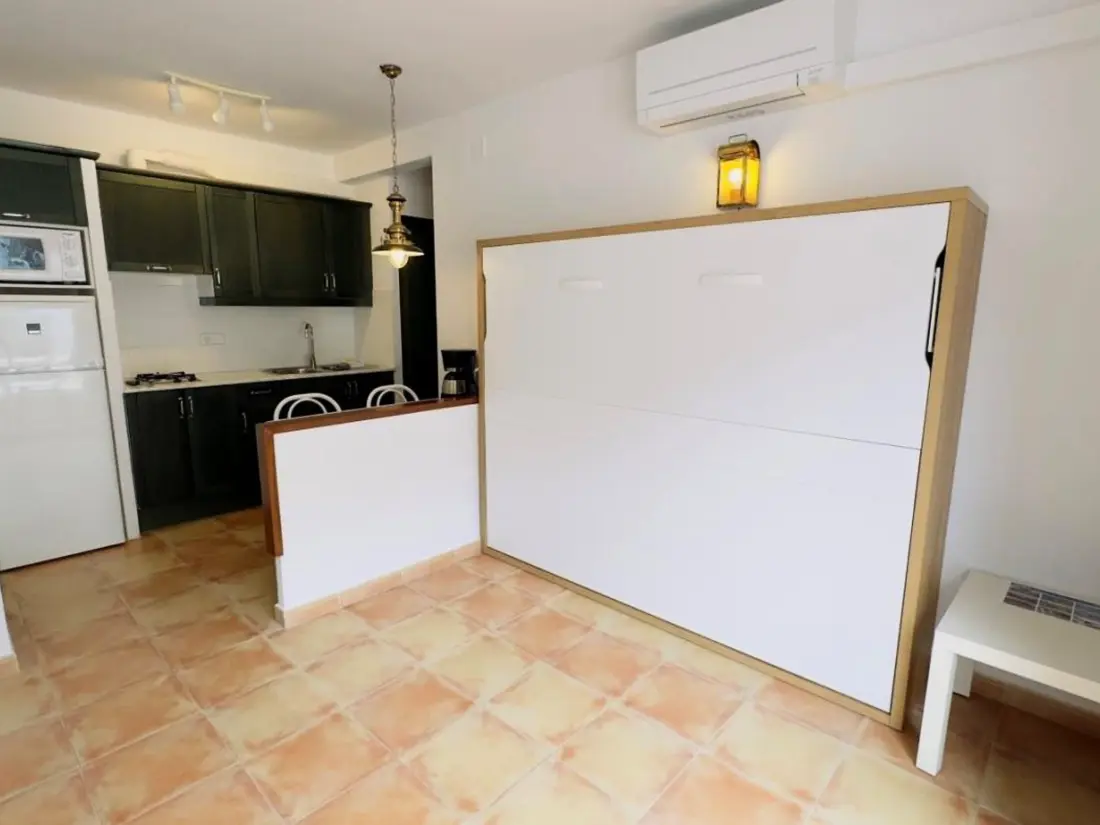 Location de Vacances Roses 872
