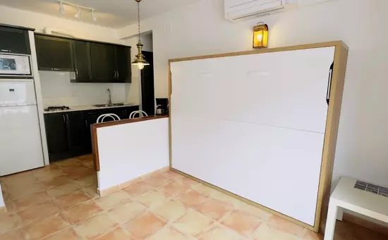 Location de Vacances Roses 872