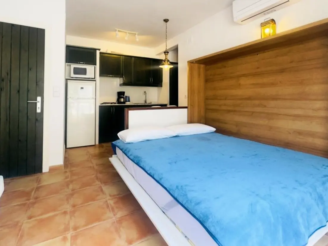 Location de Vacances Roses 872