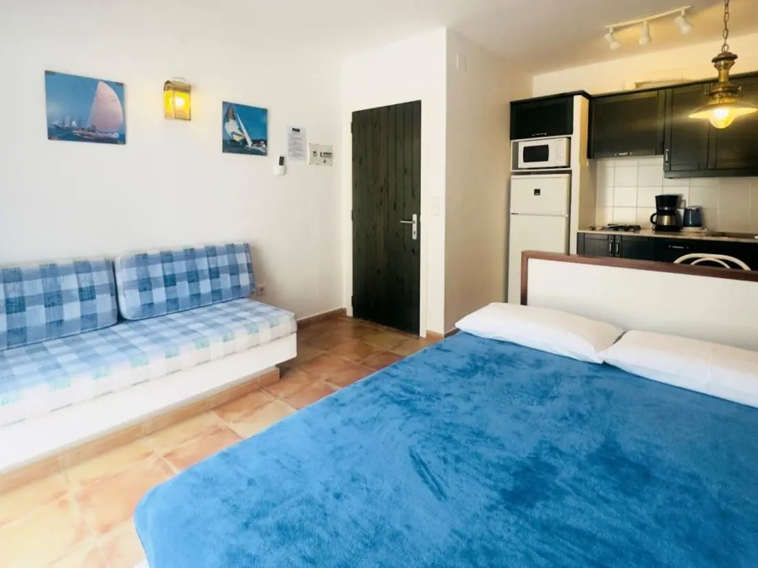 Location de Vacances Roses 872