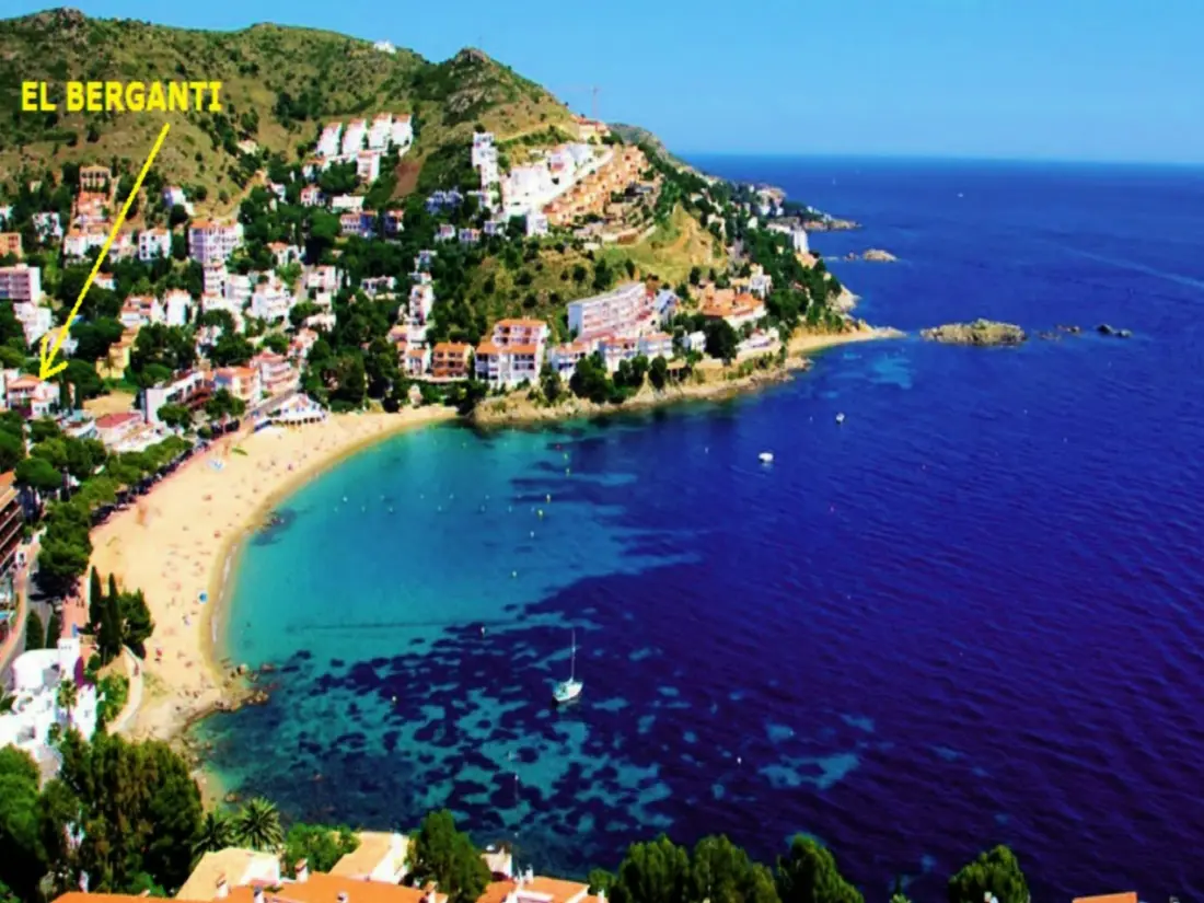 Location de Vacances Roses 873