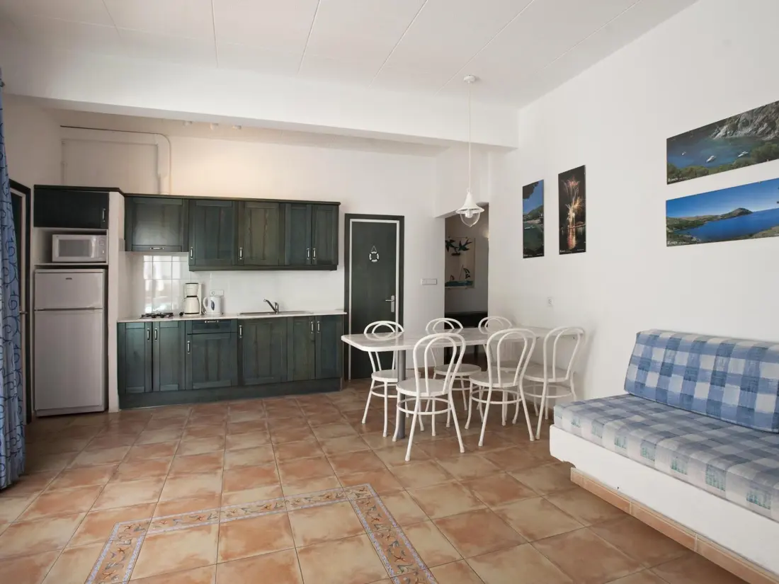 Location de Vacances Roses 873