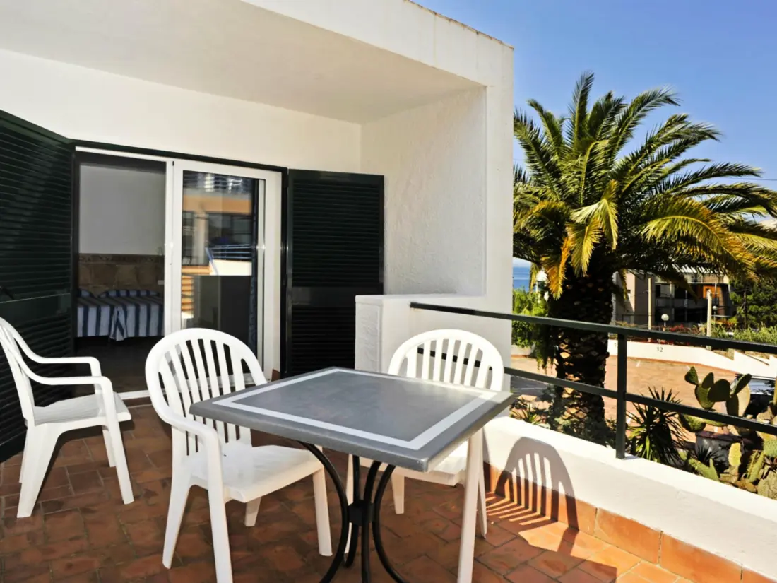 Location de Vacances Roses 874