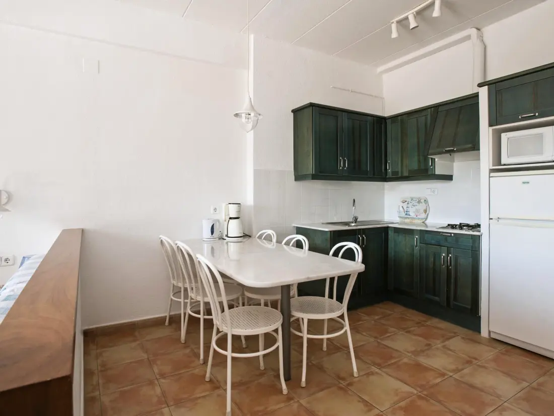 Location de Vacances Roses 875