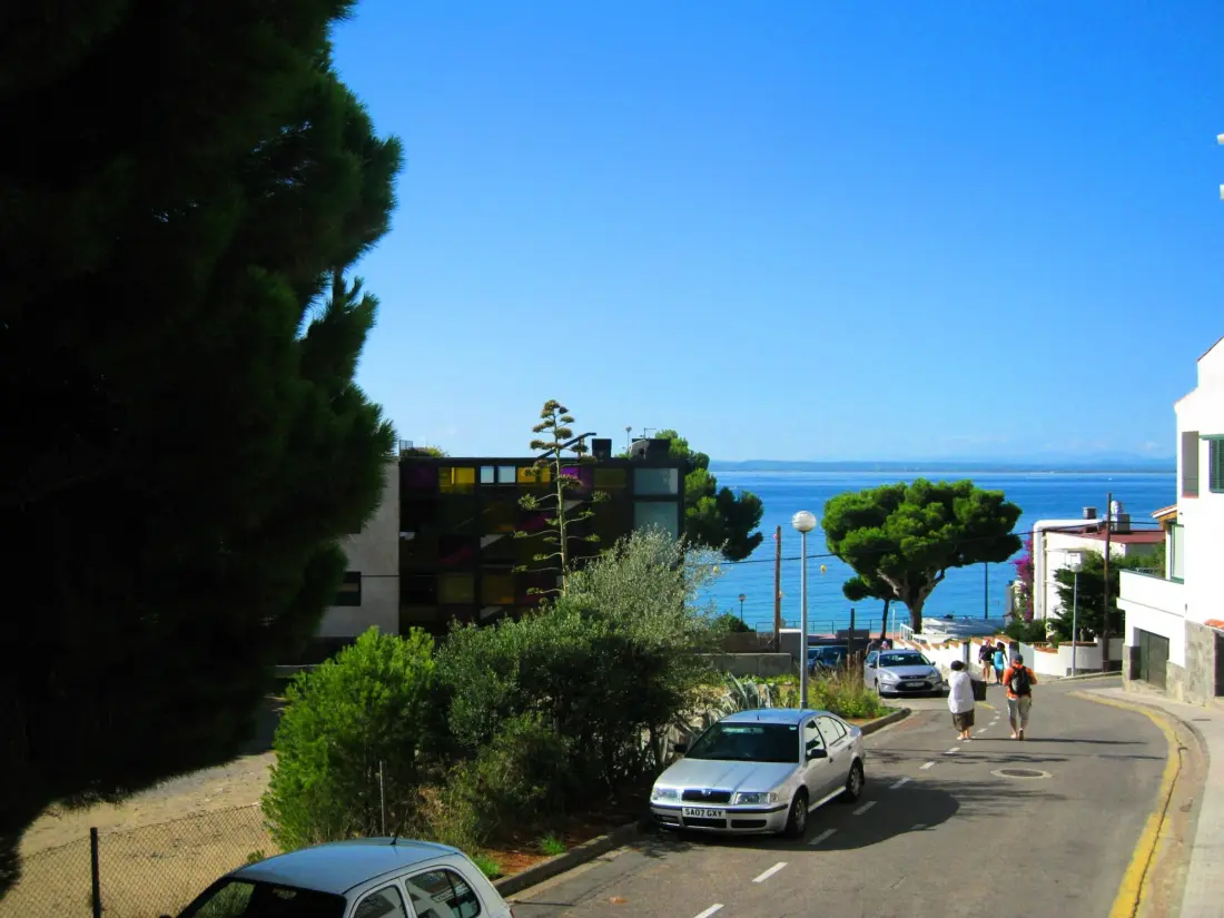 Location de Vacances Roses 875