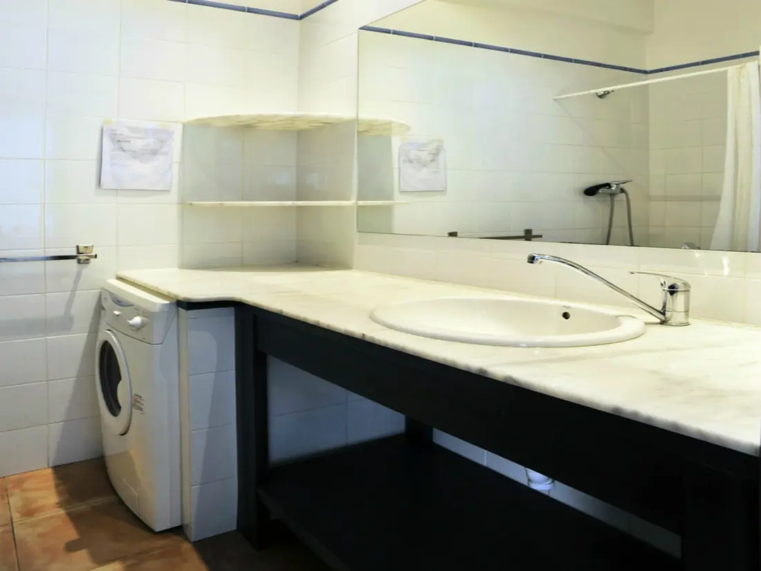 Location de Vacances Roses 875