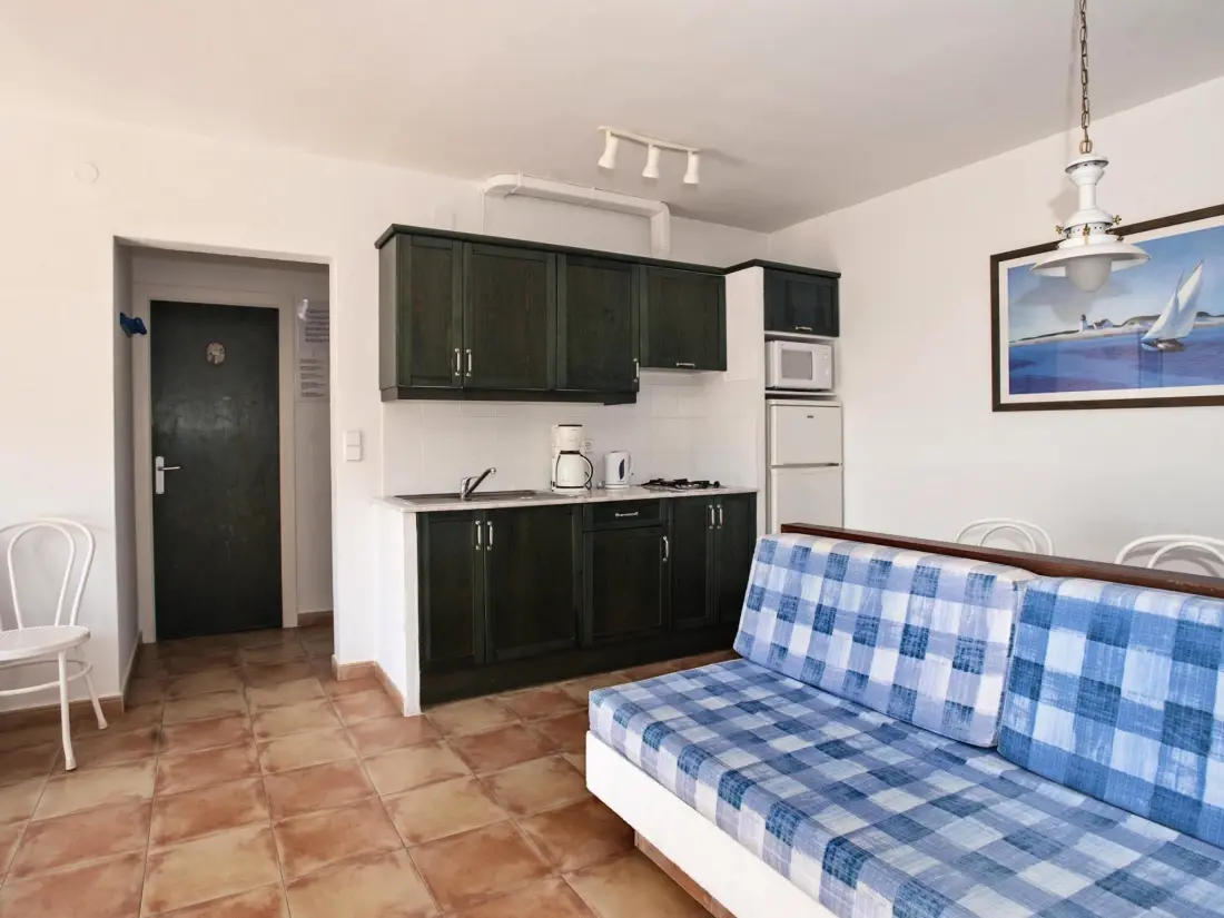 Location de Vacances Roses 876