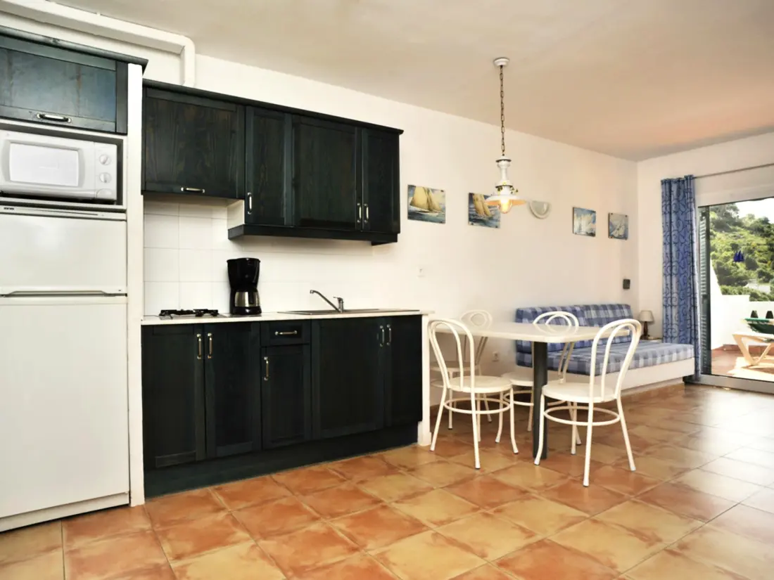 Location de Vacances Roses 877