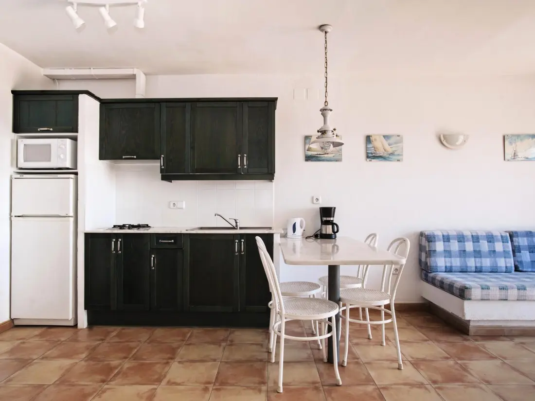 Location de Vacances Roses 877
