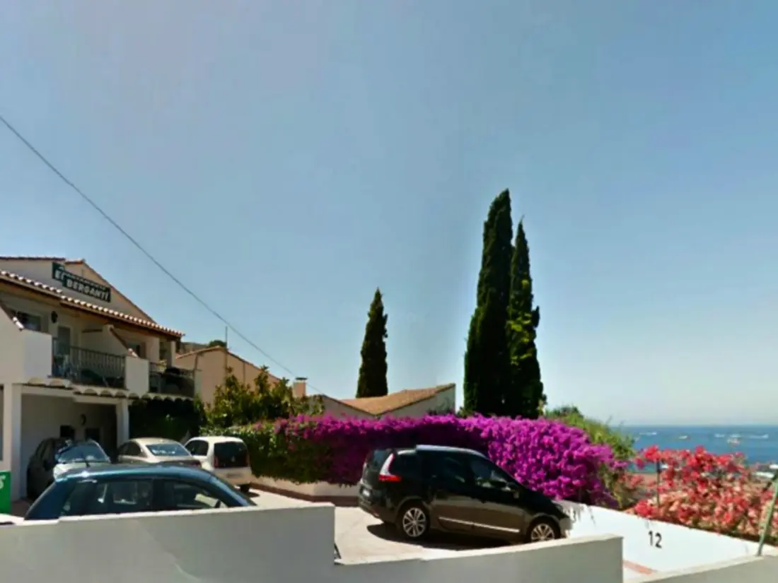 Location de Vacances Roses 878