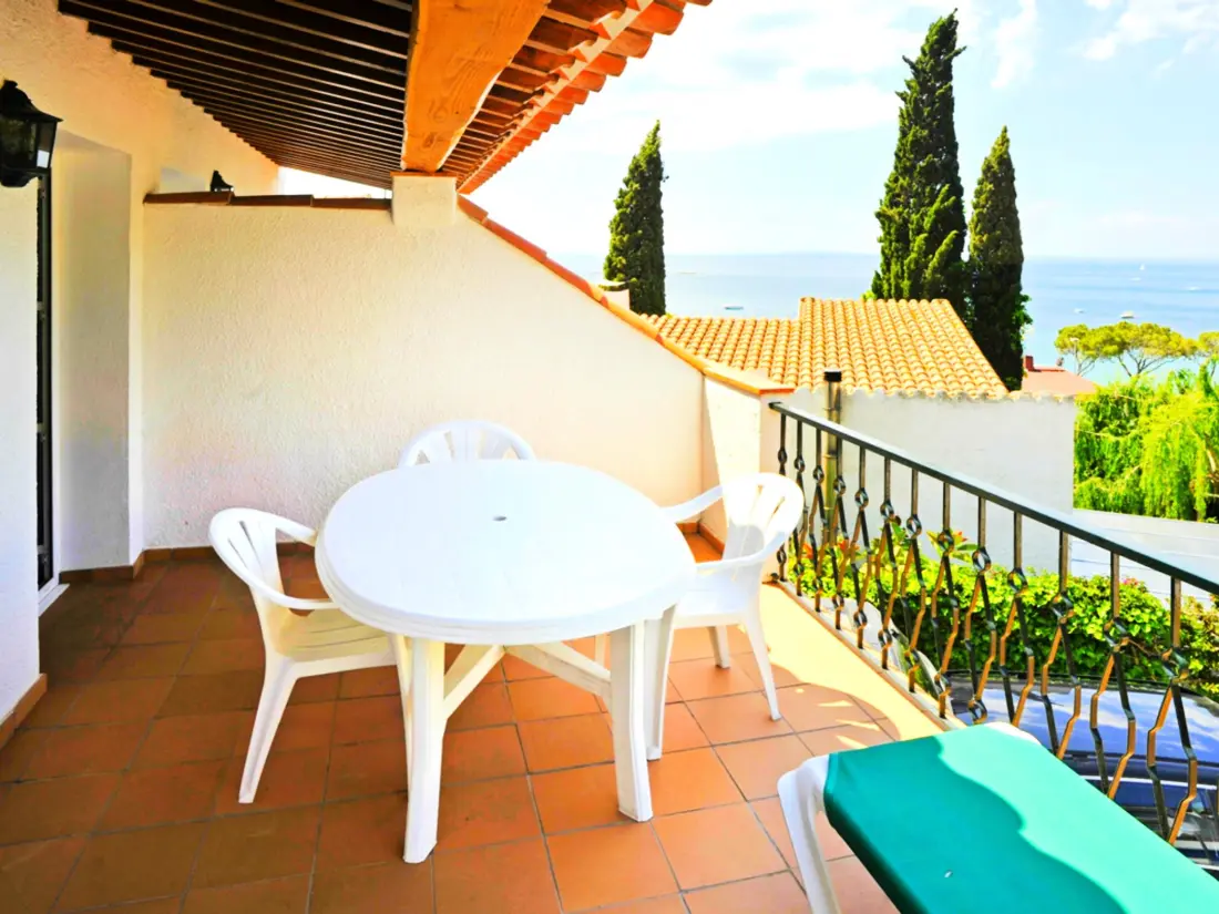Location de Vacances Roses 878
