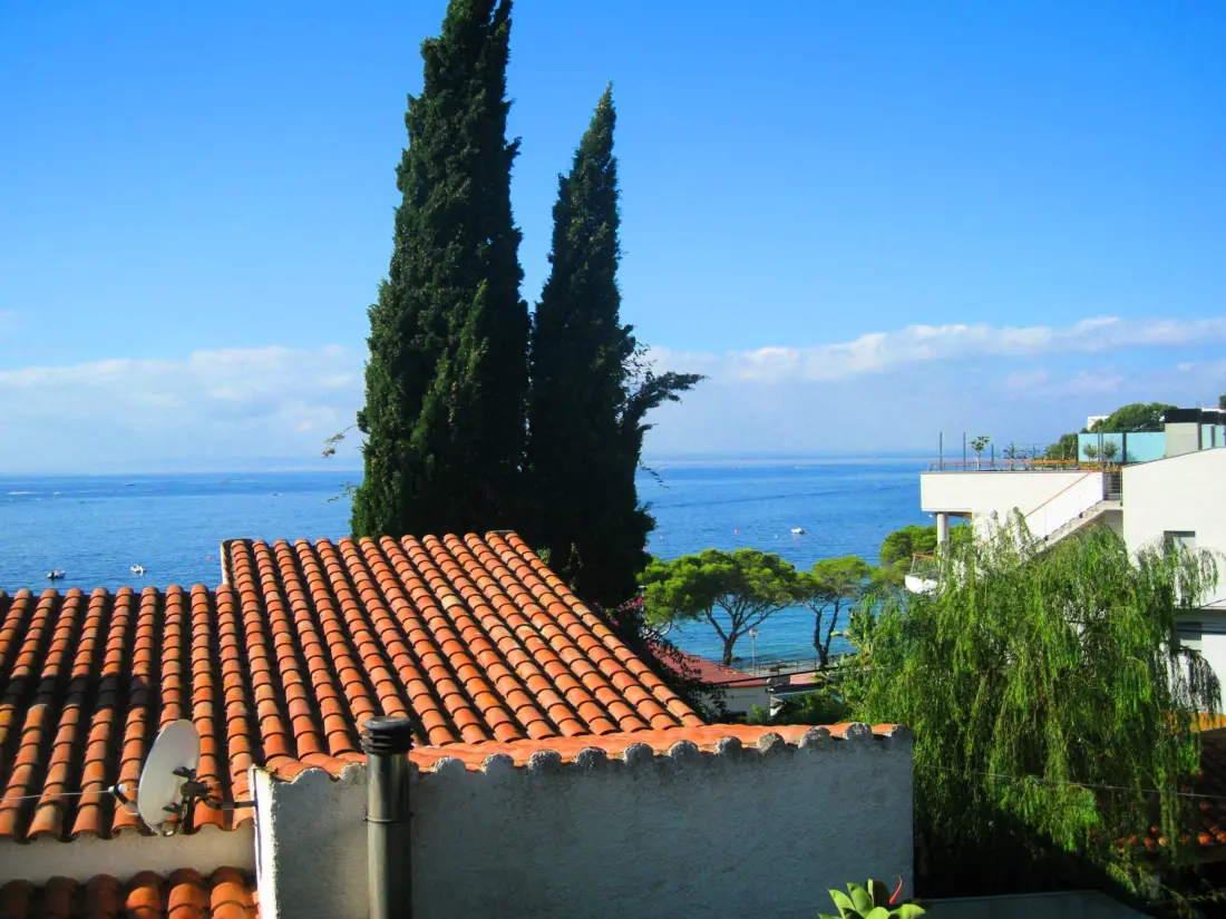Location de Vacances Roses 878