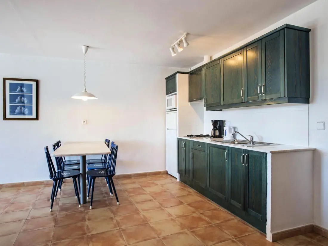 Location de Vacances Roses 879