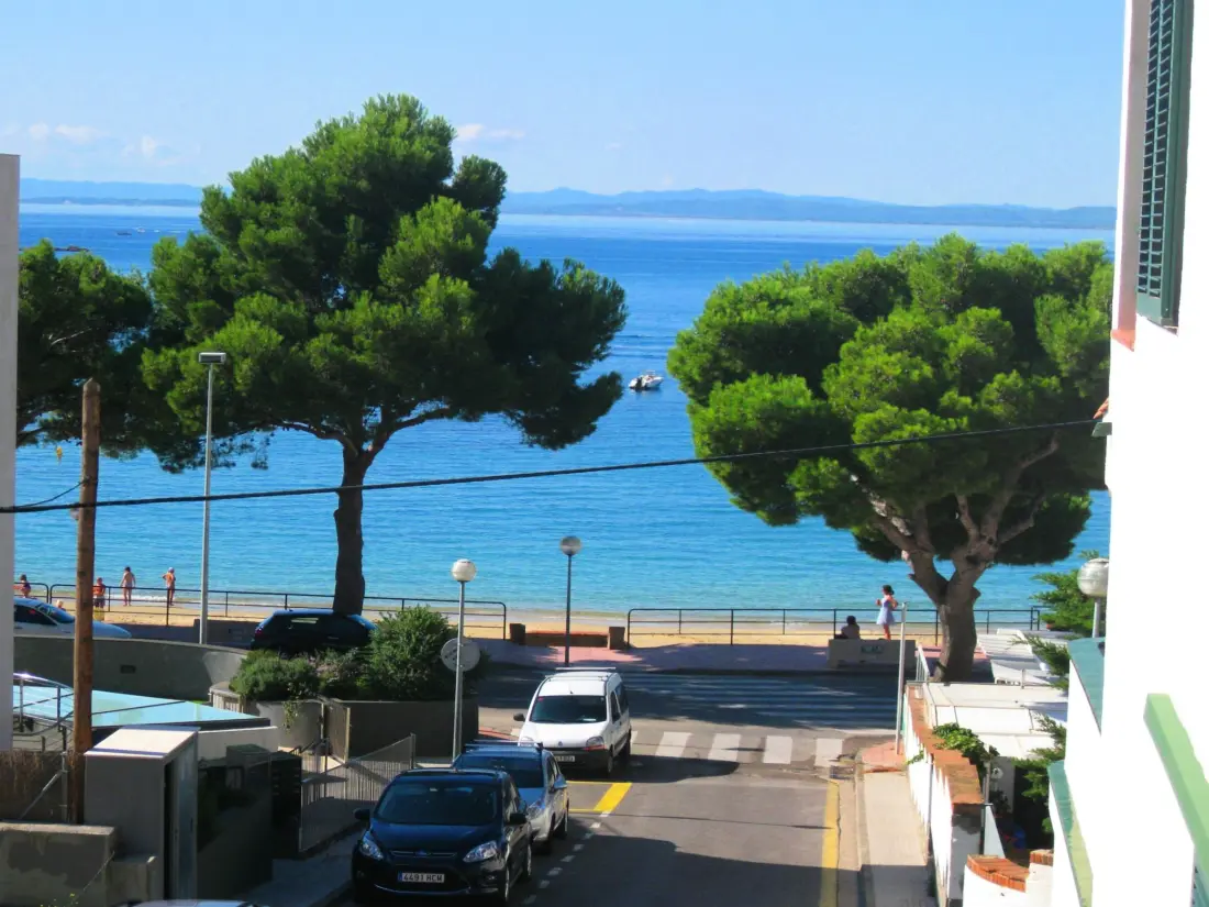 Location de Vacances Roses 879