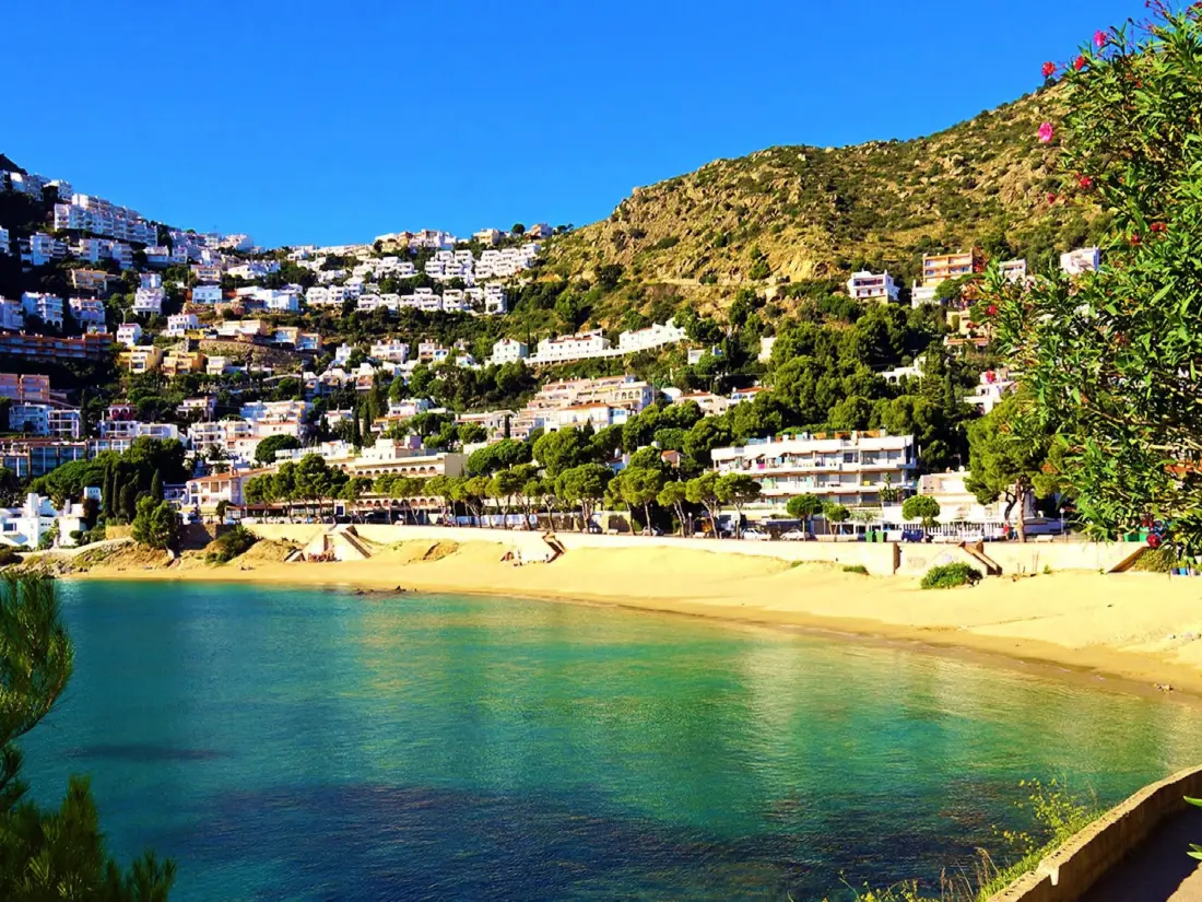 Location de Vacances Roses 880