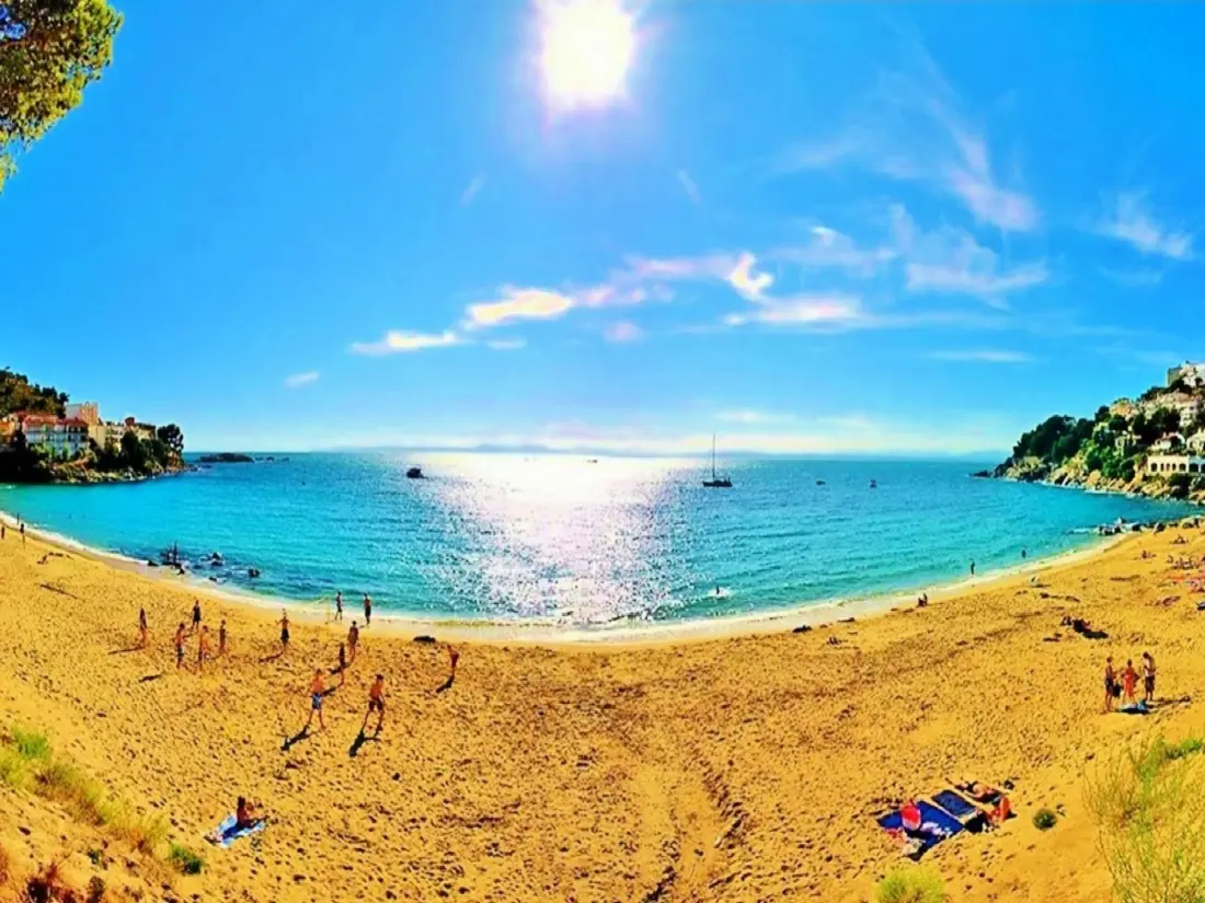 Location de Vacances Roses 880