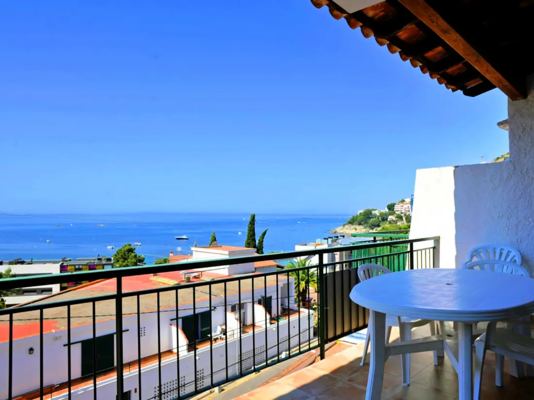 Location de Vacances Roses 880