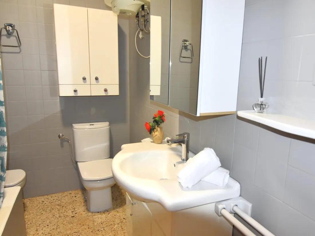 Location de Vacances Roses 881