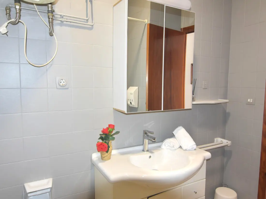 Location de Vacances Roses 881
