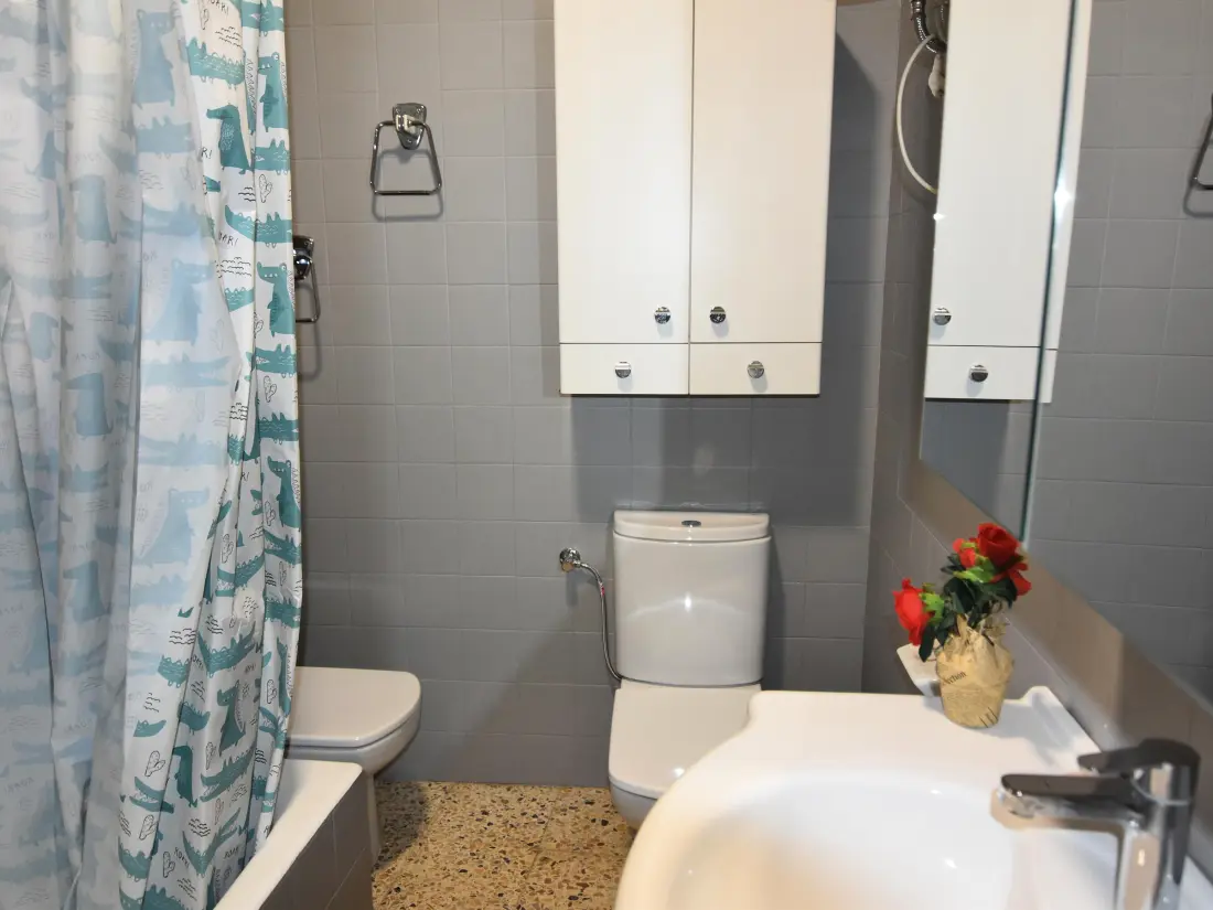 Location de Vacances Roses 881