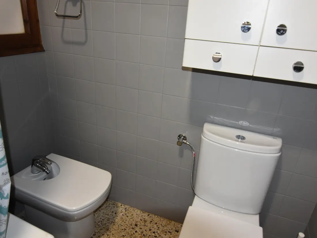Location de Vacances Roses 881