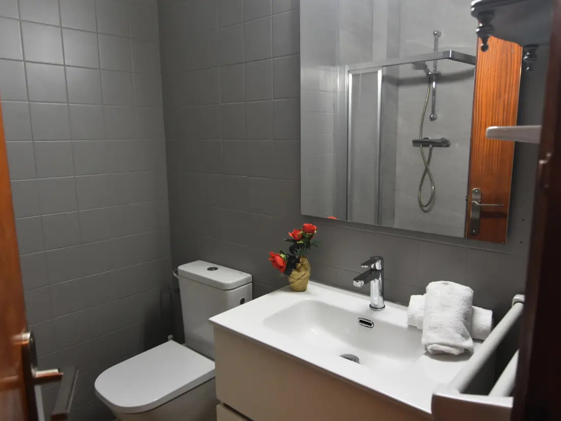 Location de Vacances Roses 881