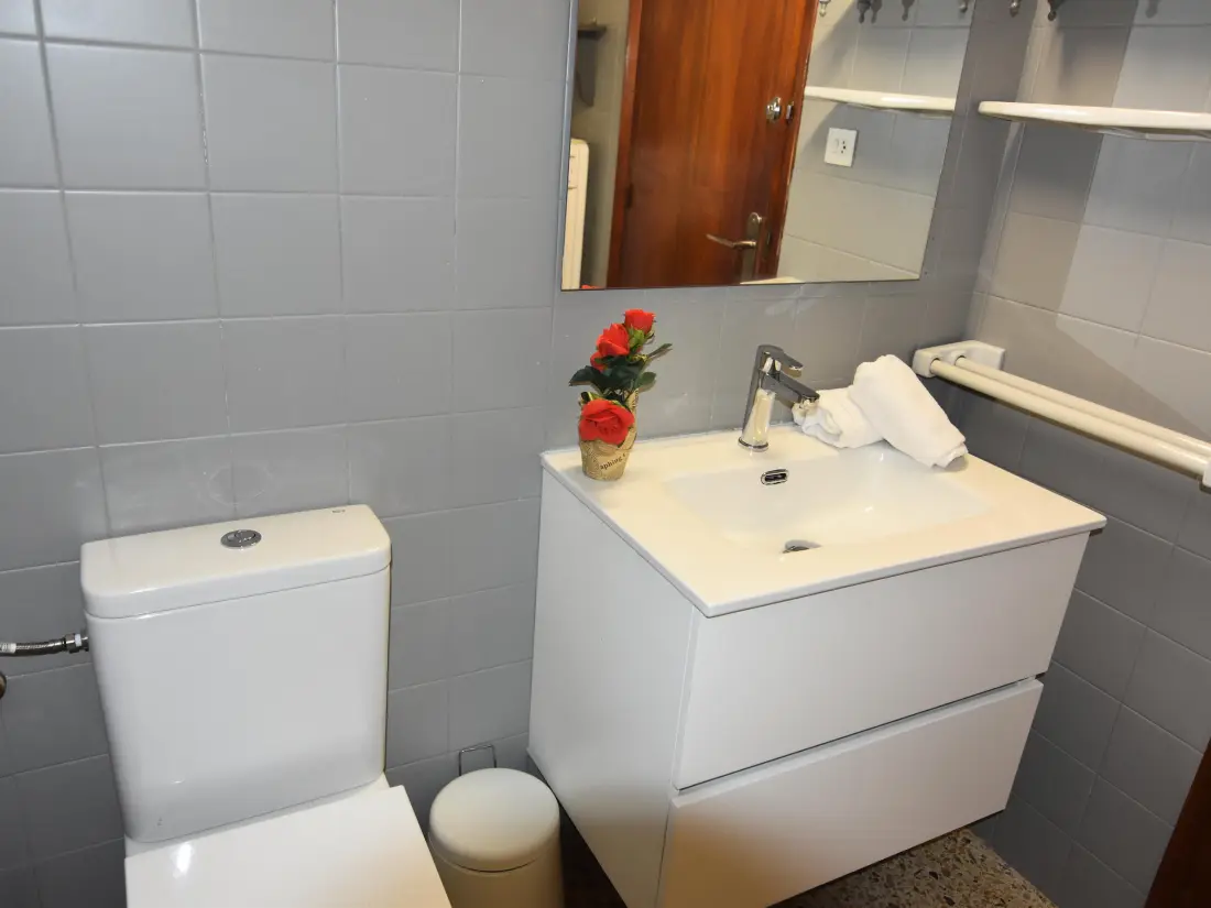 Location de Vacances Roses 881